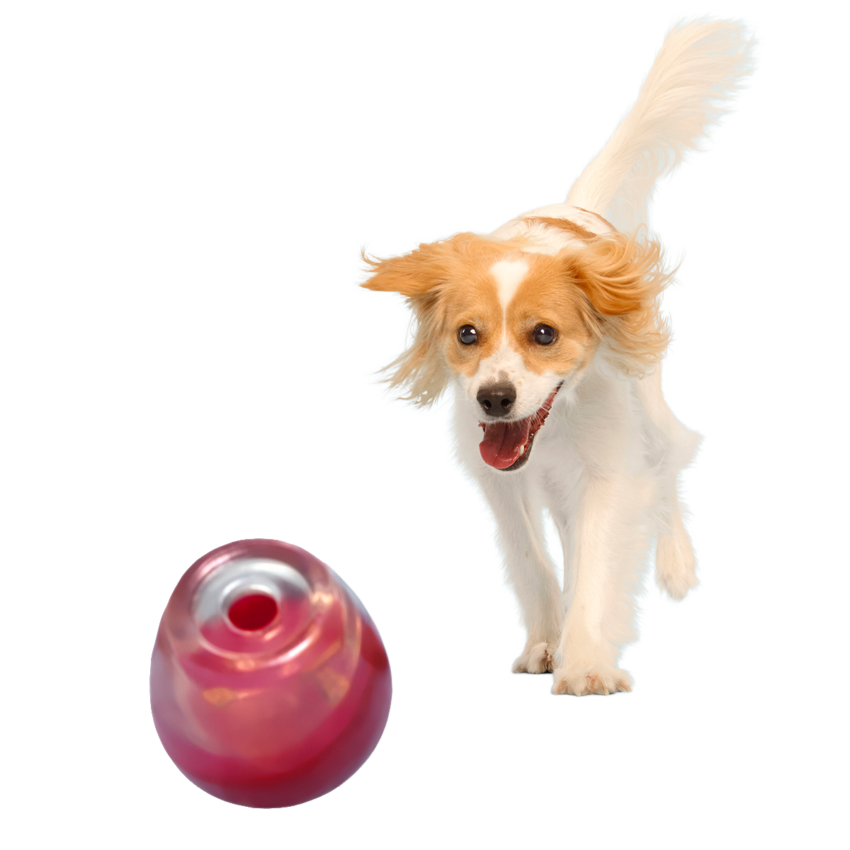 Vino Vidi Vici Super Chewer Durable Enrichment Dog Toy
