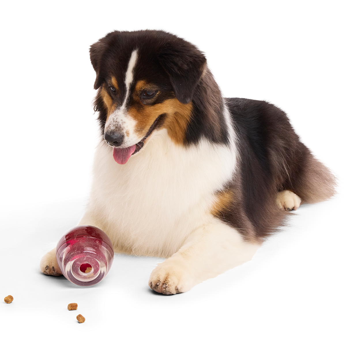 Vino Vidi Vici Super Chewer Durable Enrichment Dog Toy
