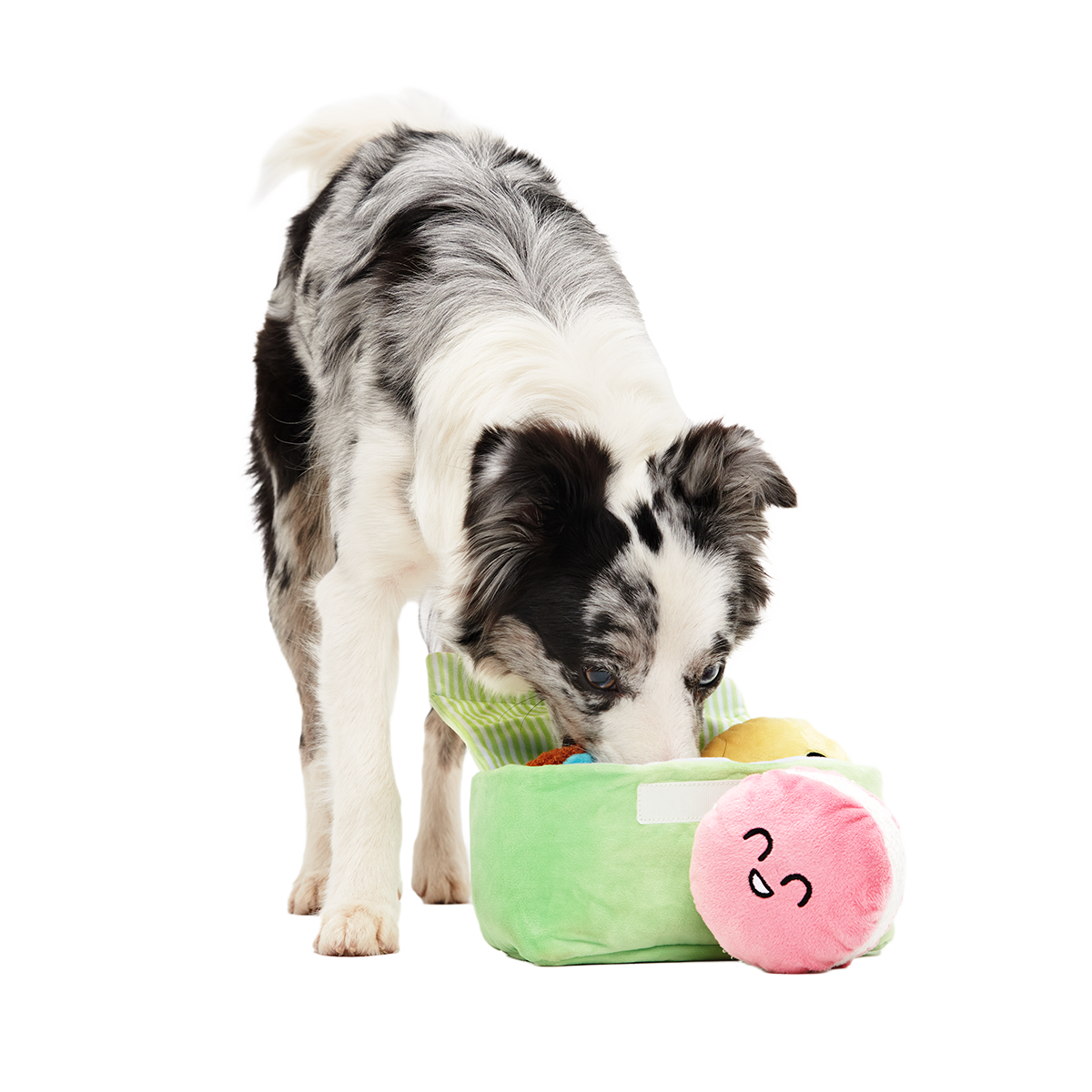 Wee Wee Macaroon Plush Multi-Part + Enrichment Dog Toy