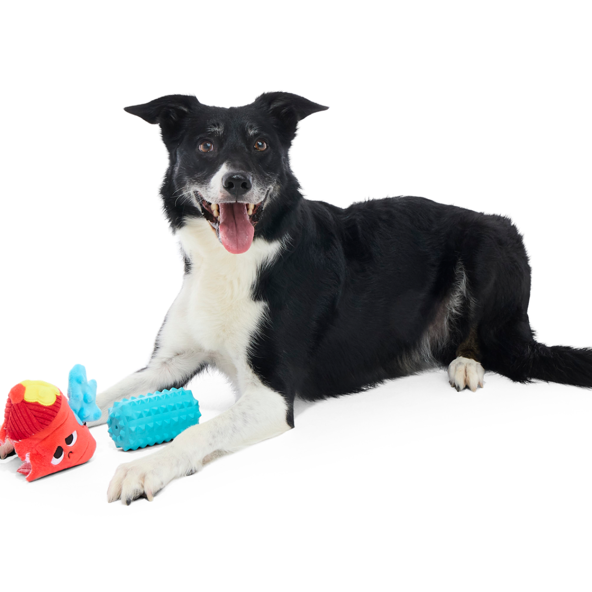Wetted Willie Super Chewer Durable 2-in-1 Dog Toy