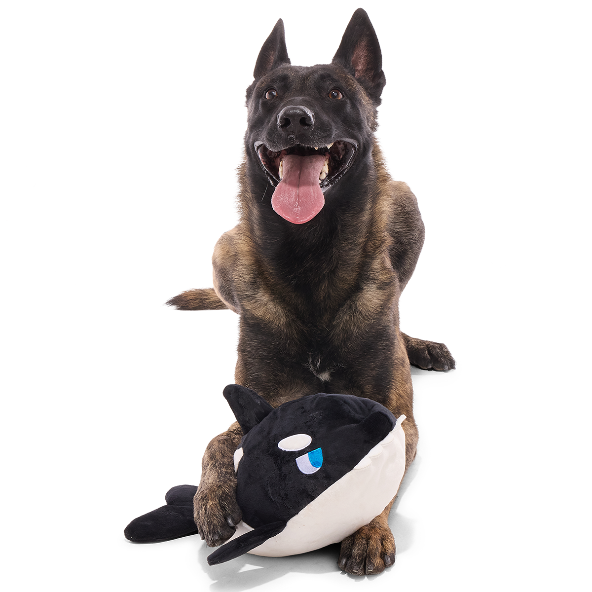 Whale Woofing Plush Extra-Large + Tug Dog Toy