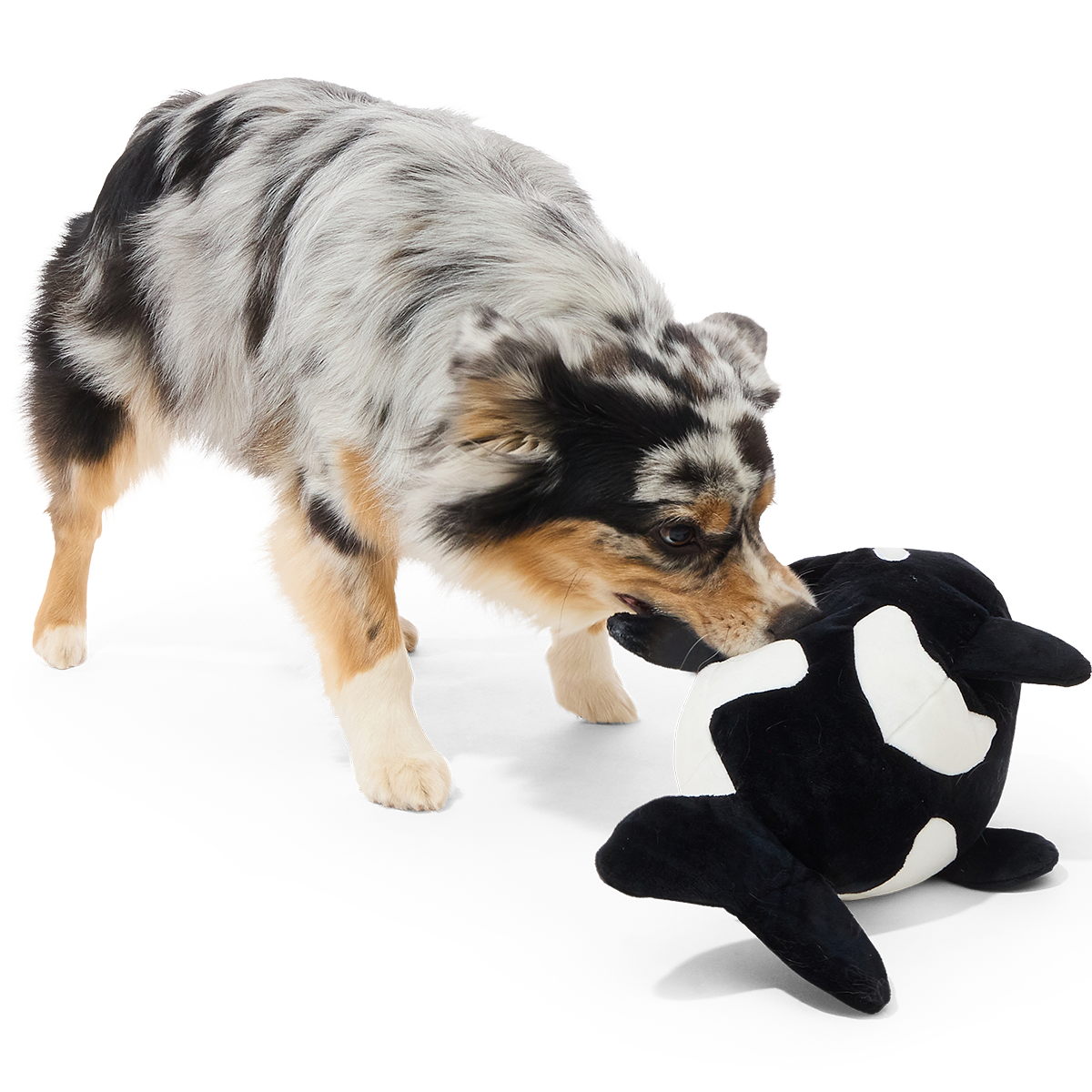 Whale Woofing Plush Extra-Large + Tug Dog Toy