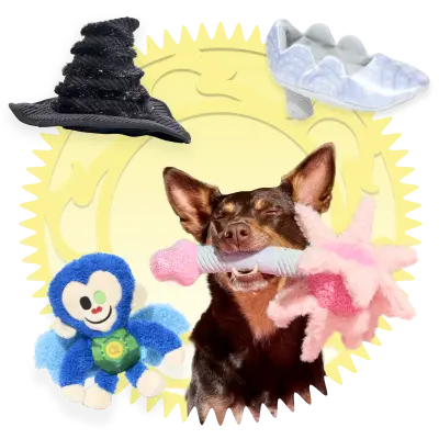 Box of dog treats and snacks labeled 'BARK.'