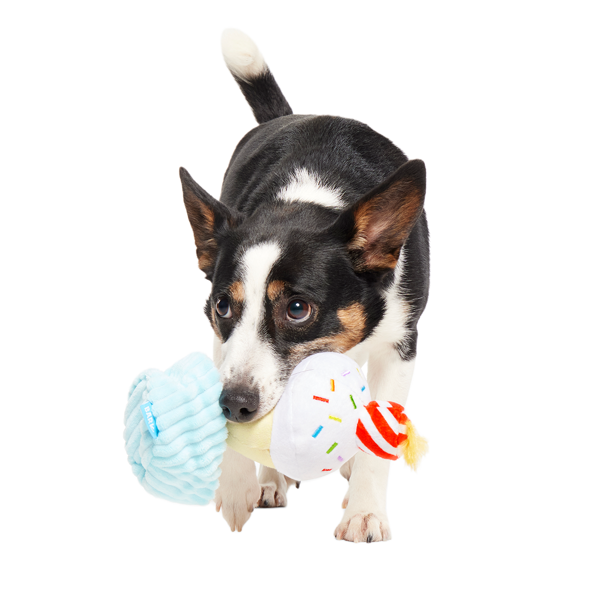 Wishful Tricia Plush Tug Dog Toy
