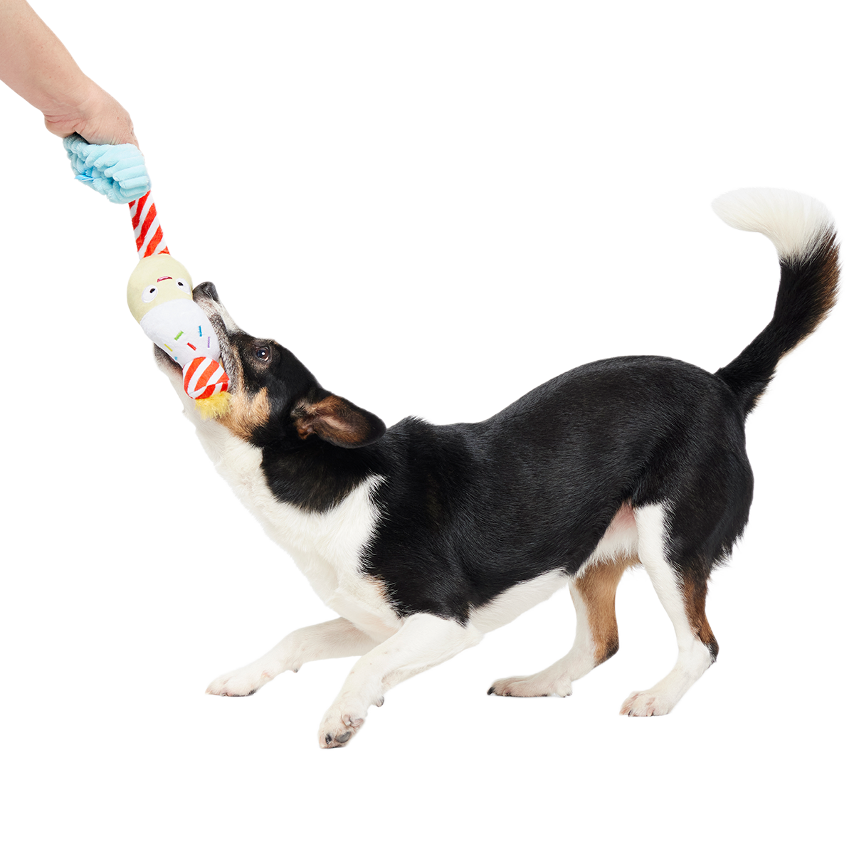 Wishful Tricia Plush Tug Dog Toy