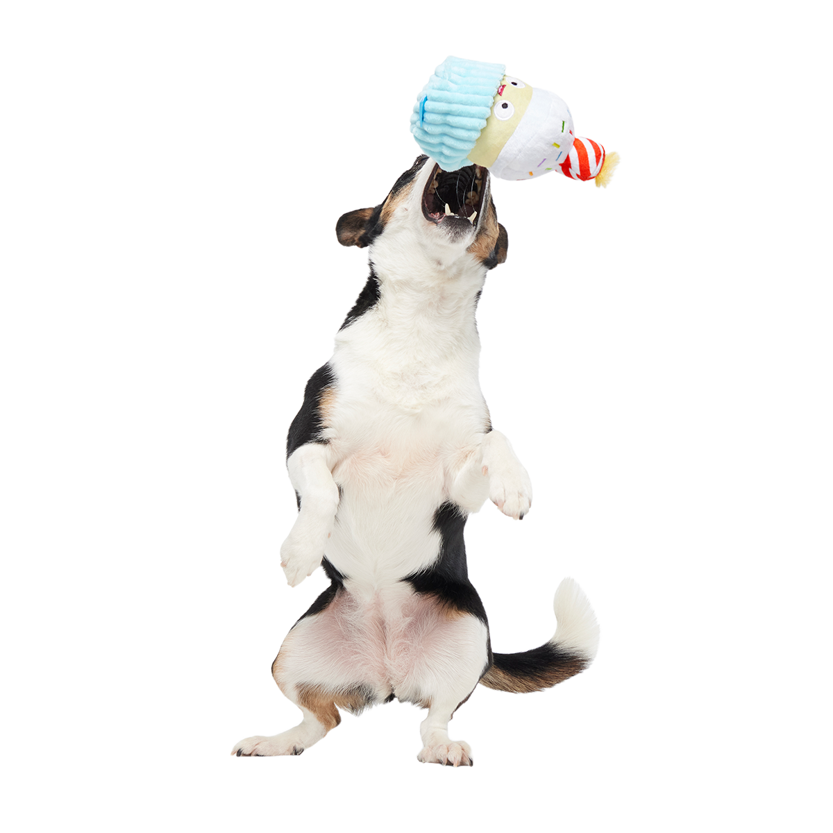 Wishful Tricia Plush Tug Dog Toy