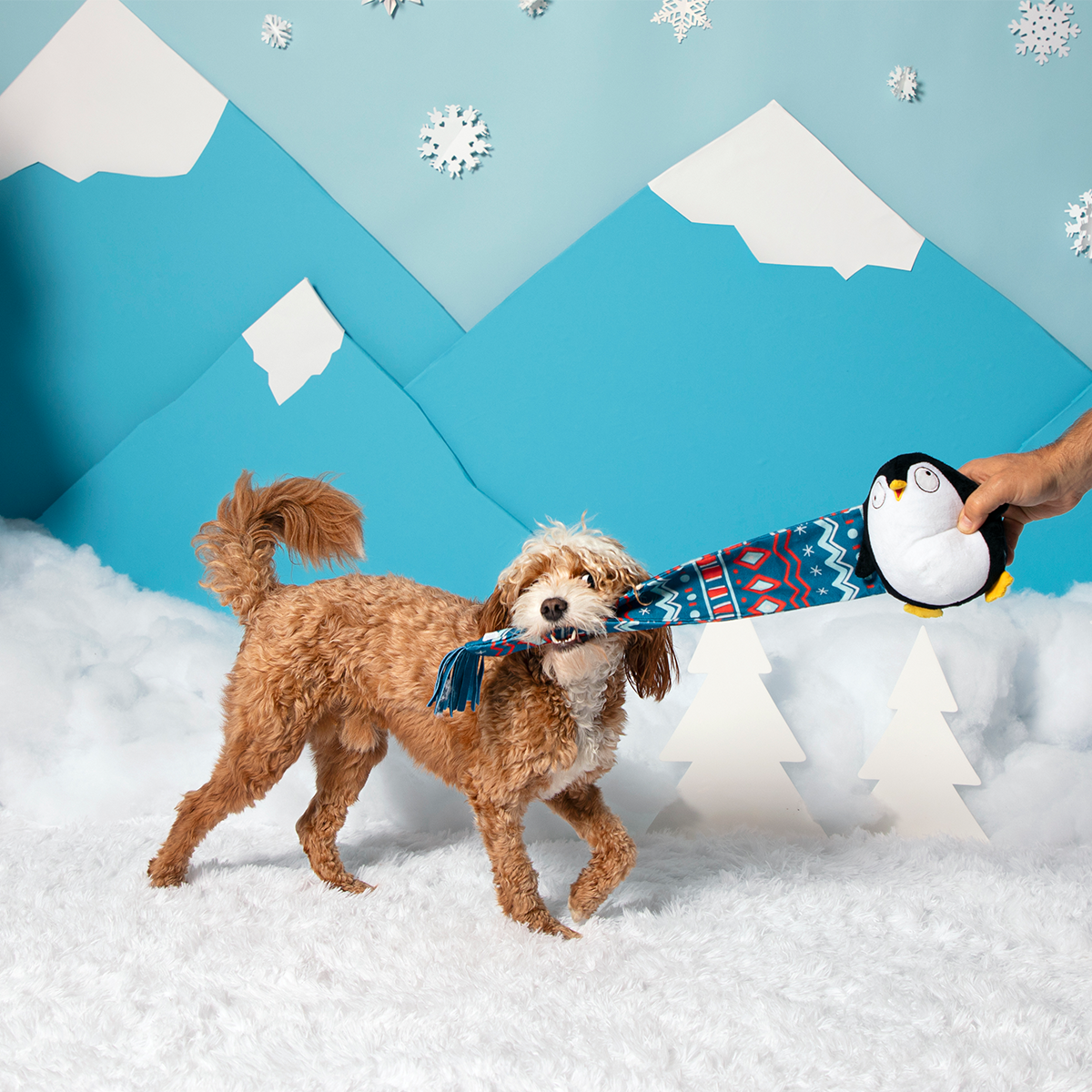 Wooly Willy Plush Tug Dog Toy