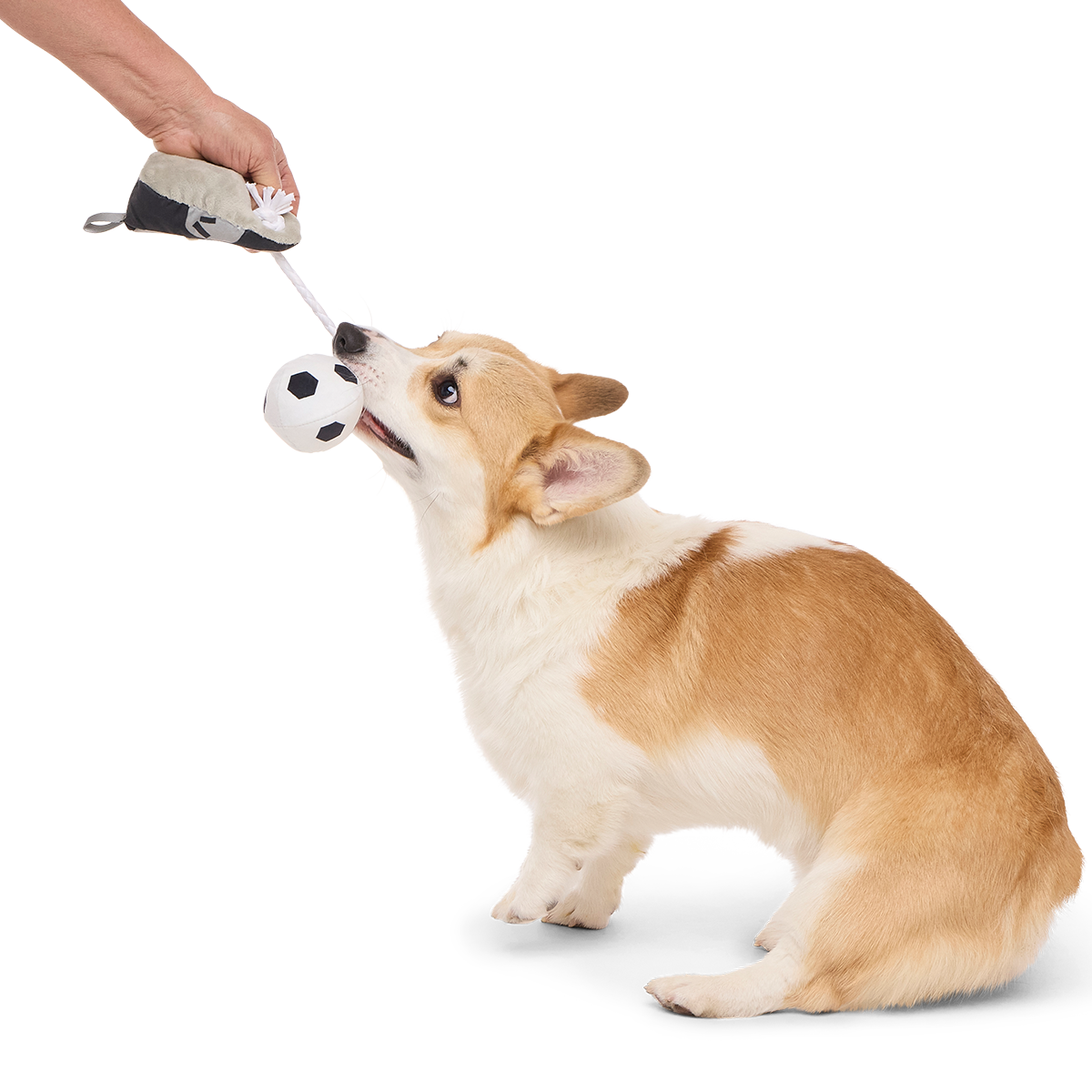 World Pup Cleat Plush Tug + Enrichment Dog Toy
