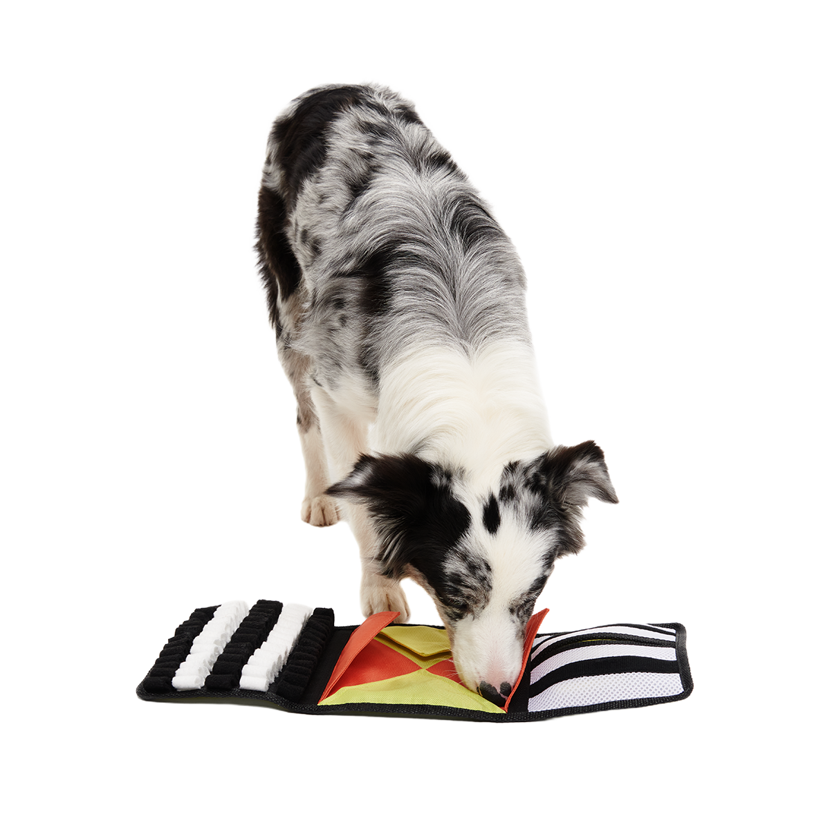 World Pup Rufferee Kit Plush Enrichment Dog Toy