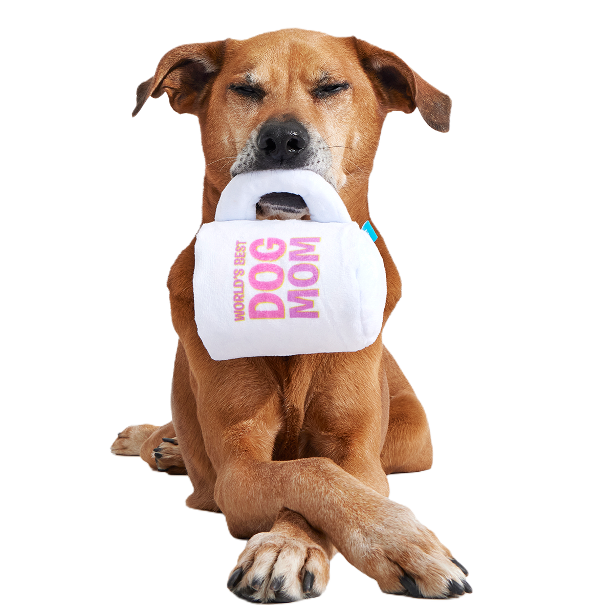 World's Best Dog Mom Mug Plush Tug Dog Toy