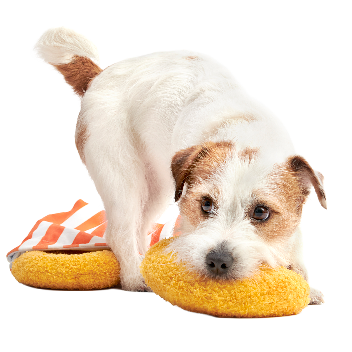 Yapple Cider Domutts Plush Extra-Large Multi-Part + Enrichment Dog Toy