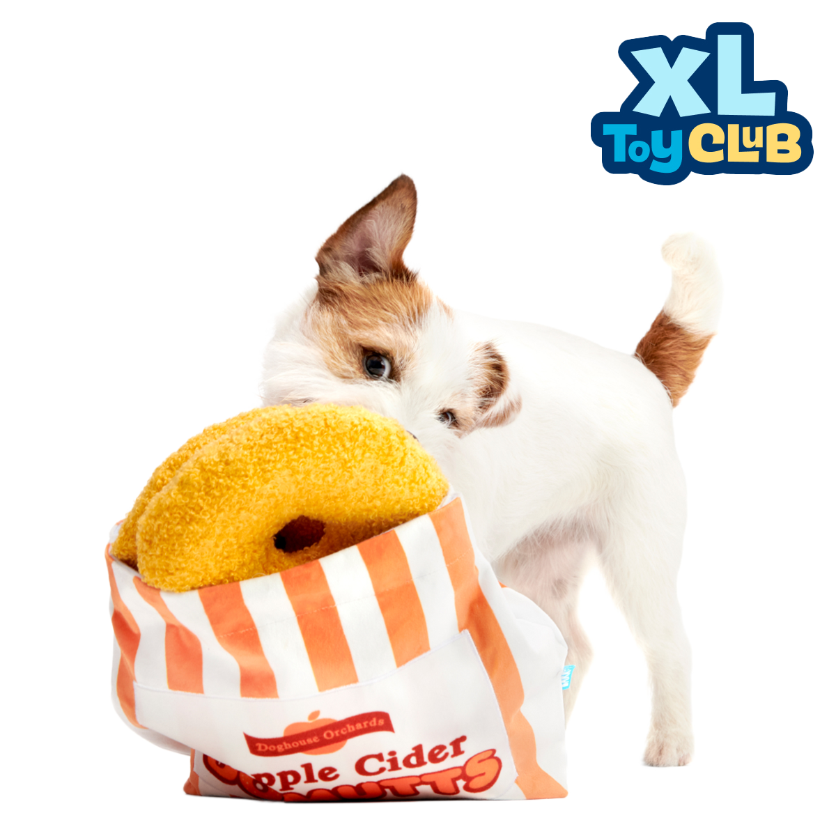 Extra-Large Toy Club, Monthly Plush XL Dog Toys