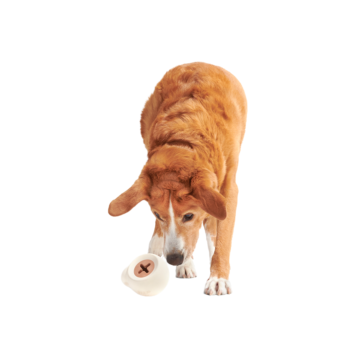 Yappucino Super Chewer Durable Enrichment Dog Toy