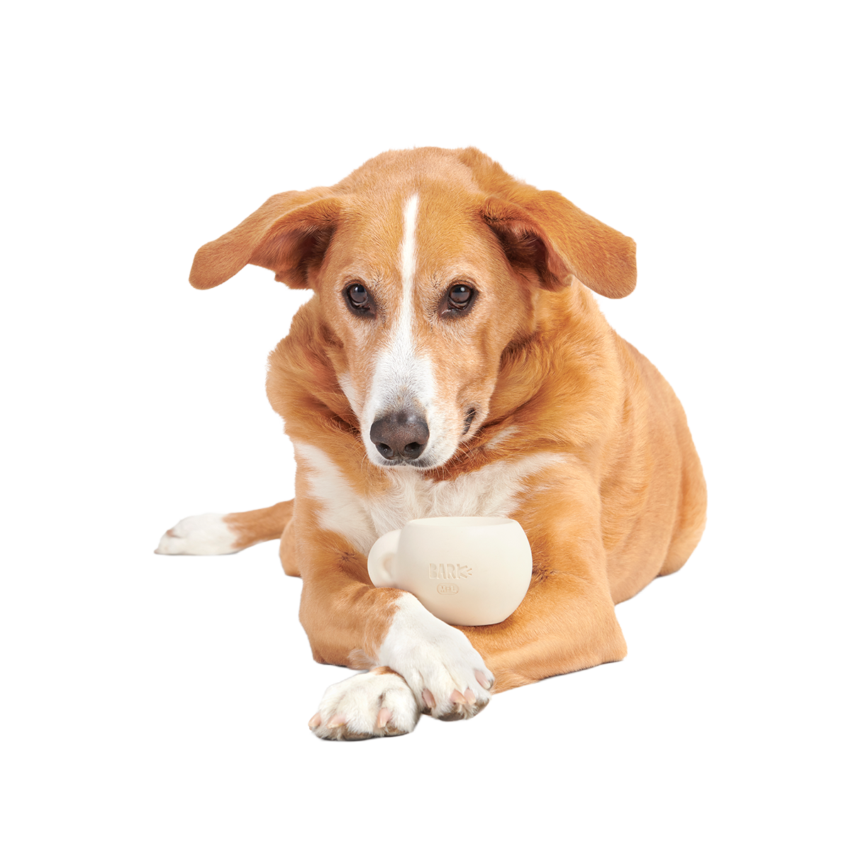 Yappucino Super Chewer Durable Enrichment Dog Toy