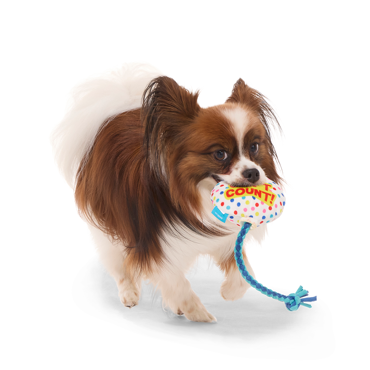 Yappy Birthday Balloon Plush Tug Dog Toy