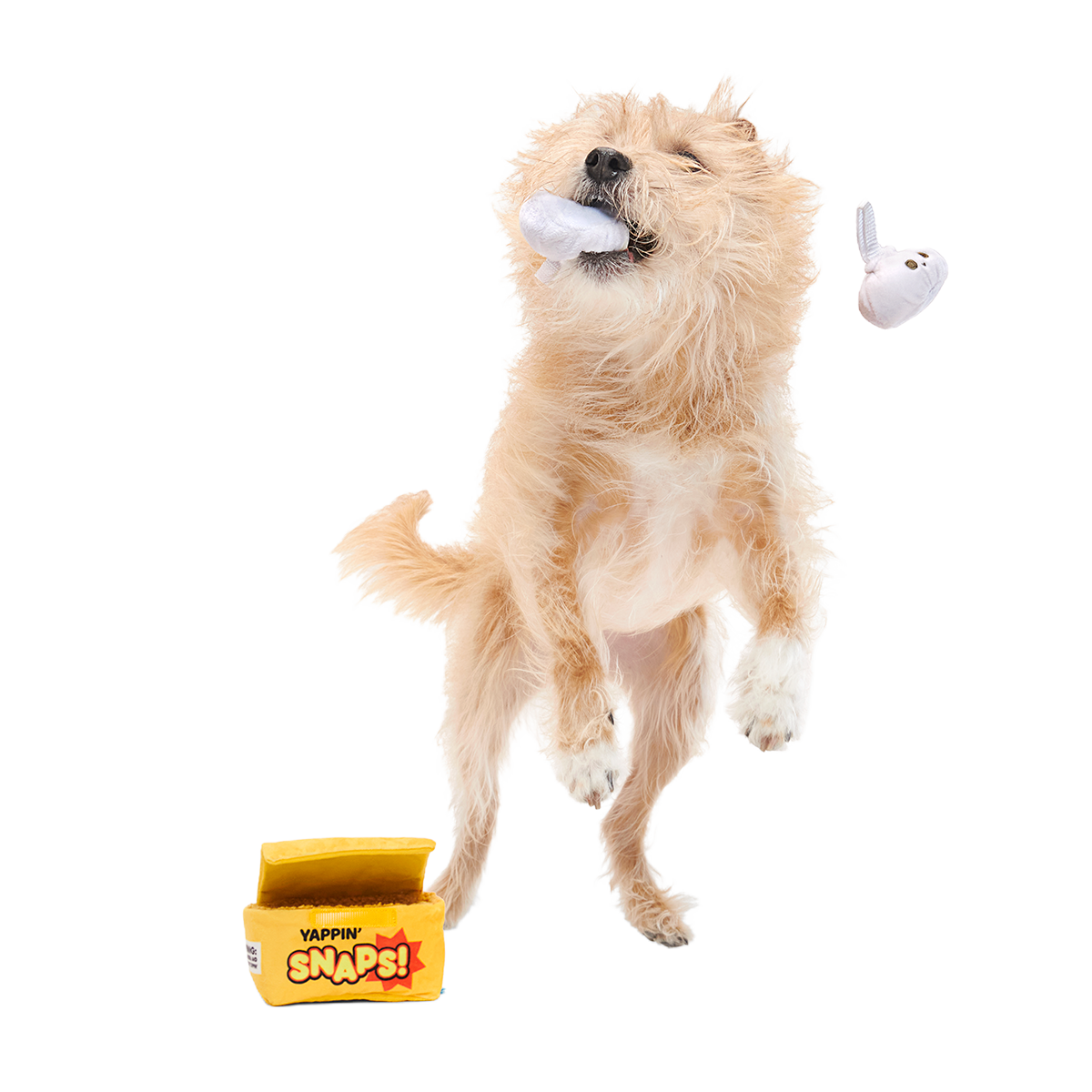 Yappy Snaps Plush Multi-Part Tug Dog Toy