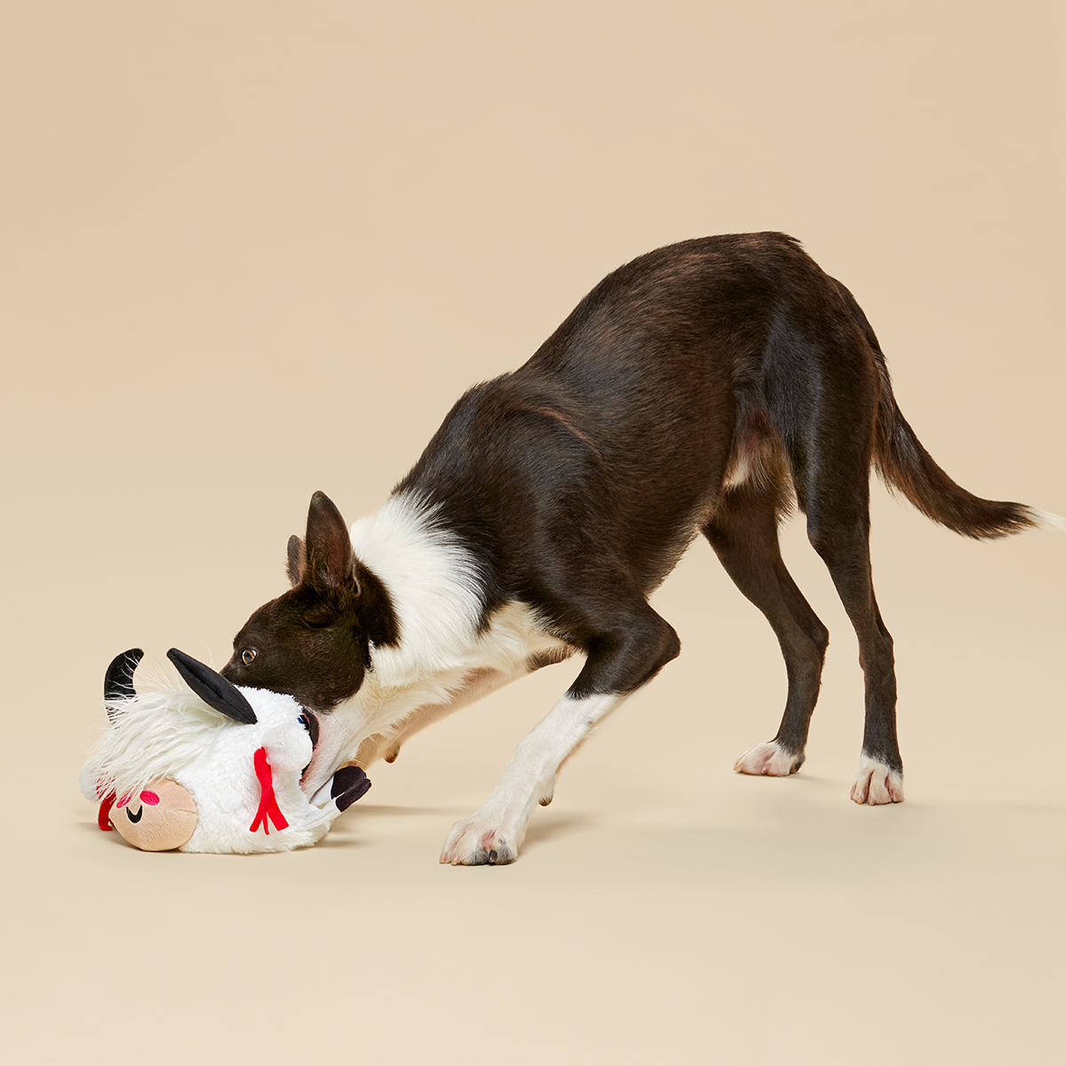 Yeshe the Yak Plush Extra-Large + Tug Dog Toy