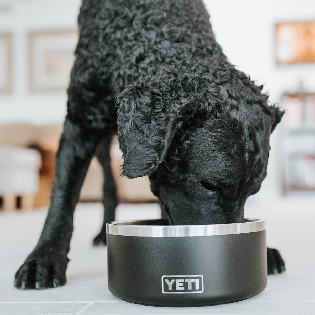 SuperChewer + Free Yeti Bowl: 6 Month Subscription