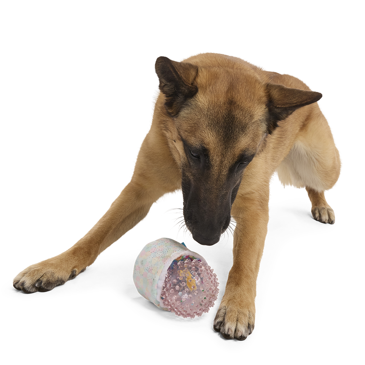 Yippin’ Spots Plush Multi-Part Fetch + Enrichment Dog Toy