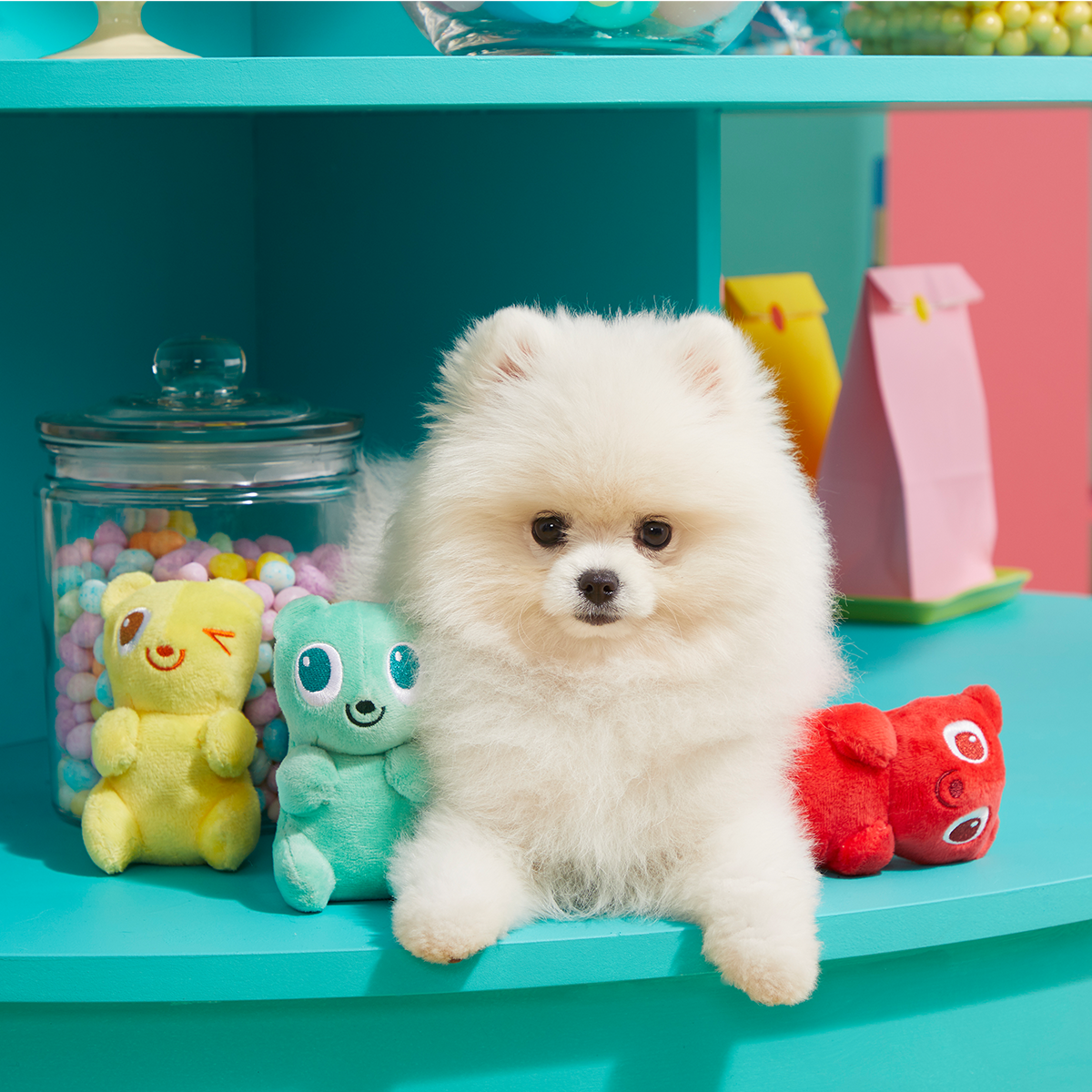 Yummy Bear Buddies Plush Multi-Part Dog Toy