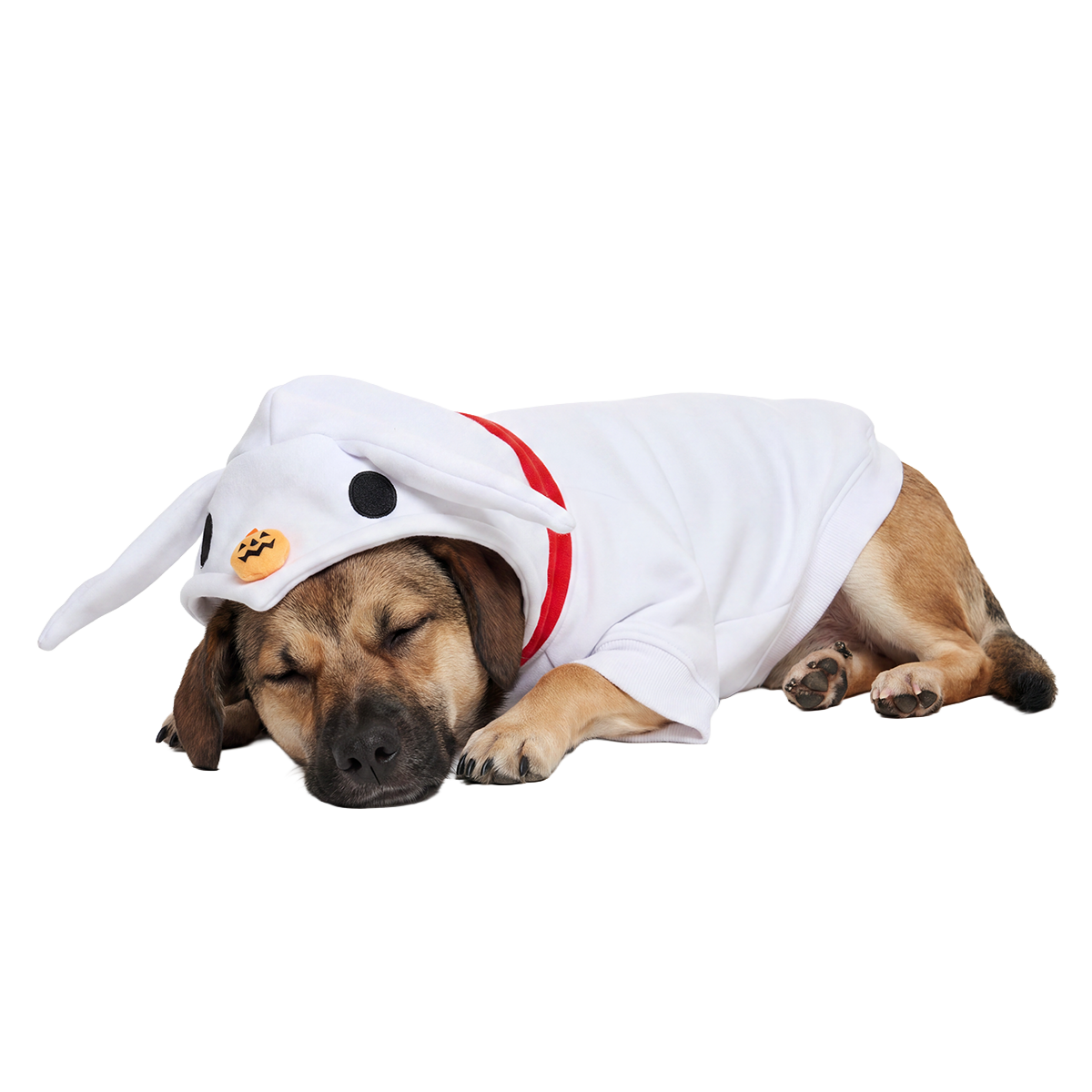 Zero's Flyin' Cape Dog Hoodie