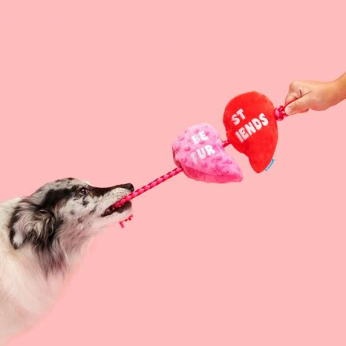 Heartstrings Tugger Plush Tug Dog Toy