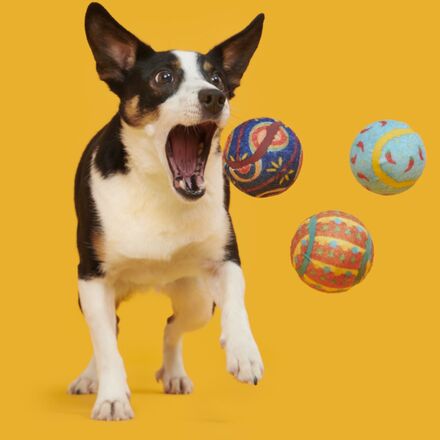 Fetch Mex Tennis Balls