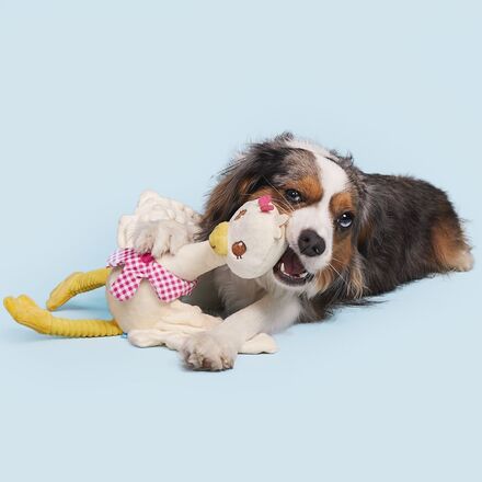 Farmer's Barket Gingham Goose