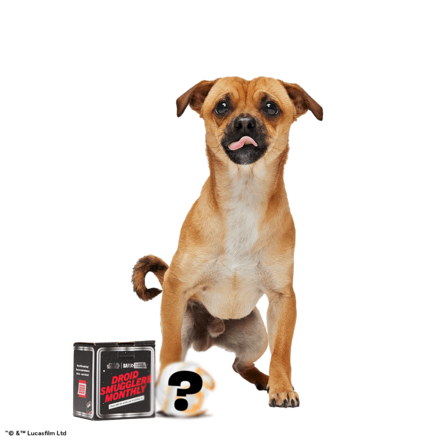 Star Wars™ Droid - BB-8™