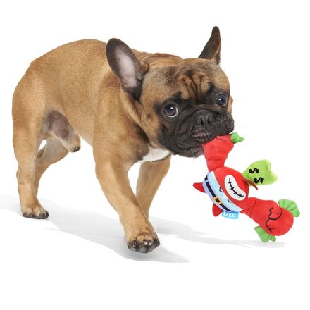 Plush SpongeBob Bundle