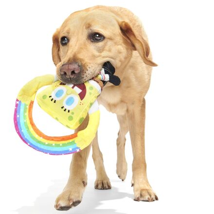 Plush SpongeBob Bundle#Size_L