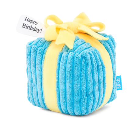 Throw A Party Present