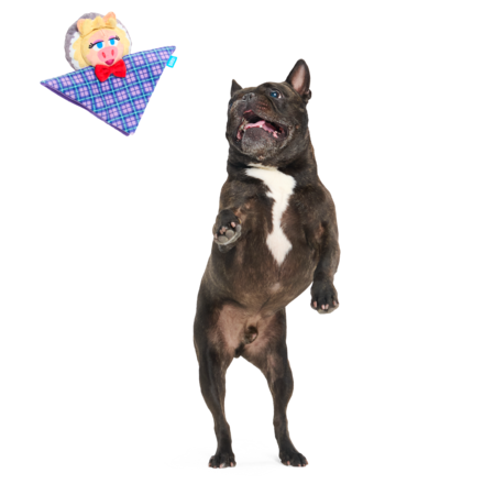 The Muppet Kermit & Miss Piggy Bundle