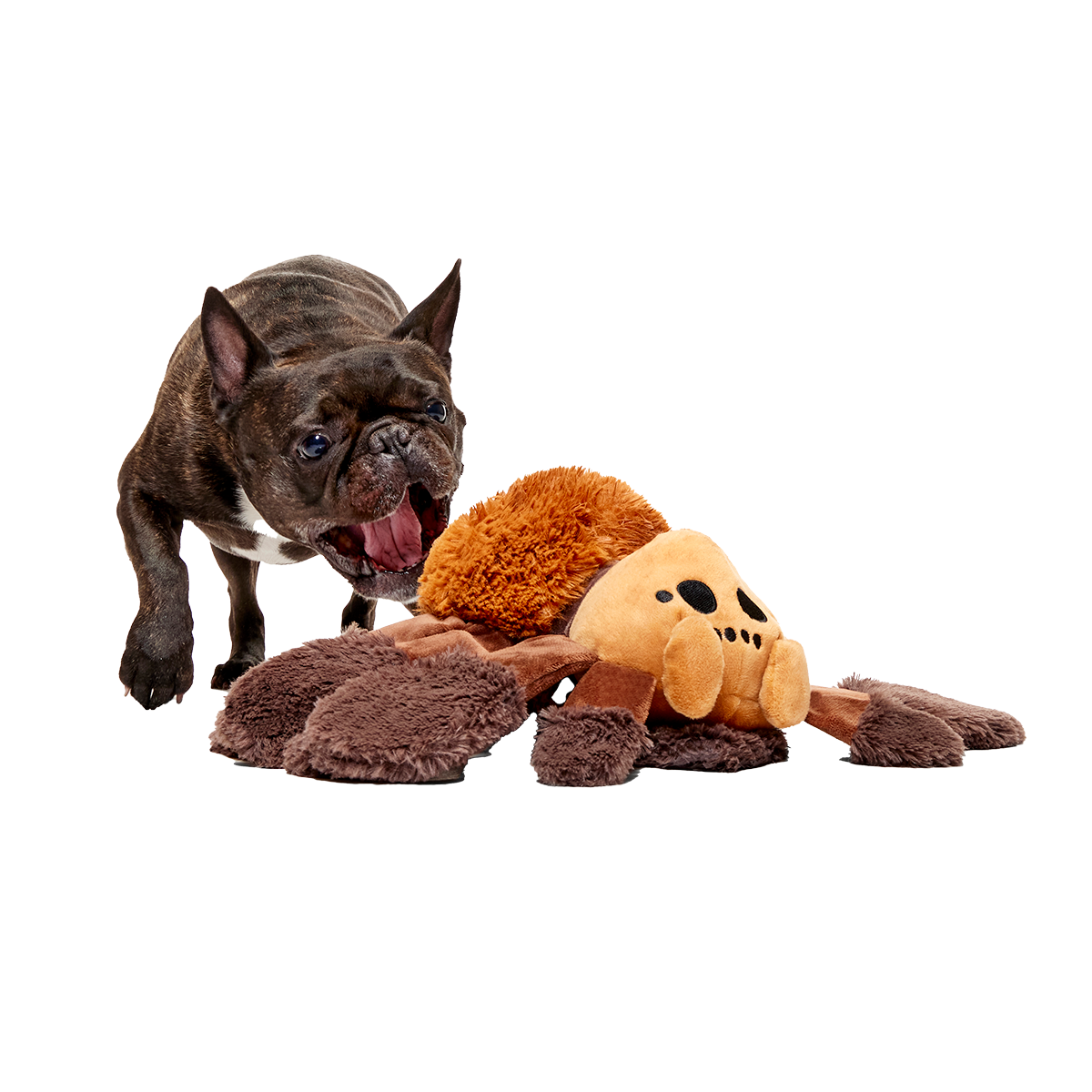 HARRY POTTER™ Super Fan Bundle