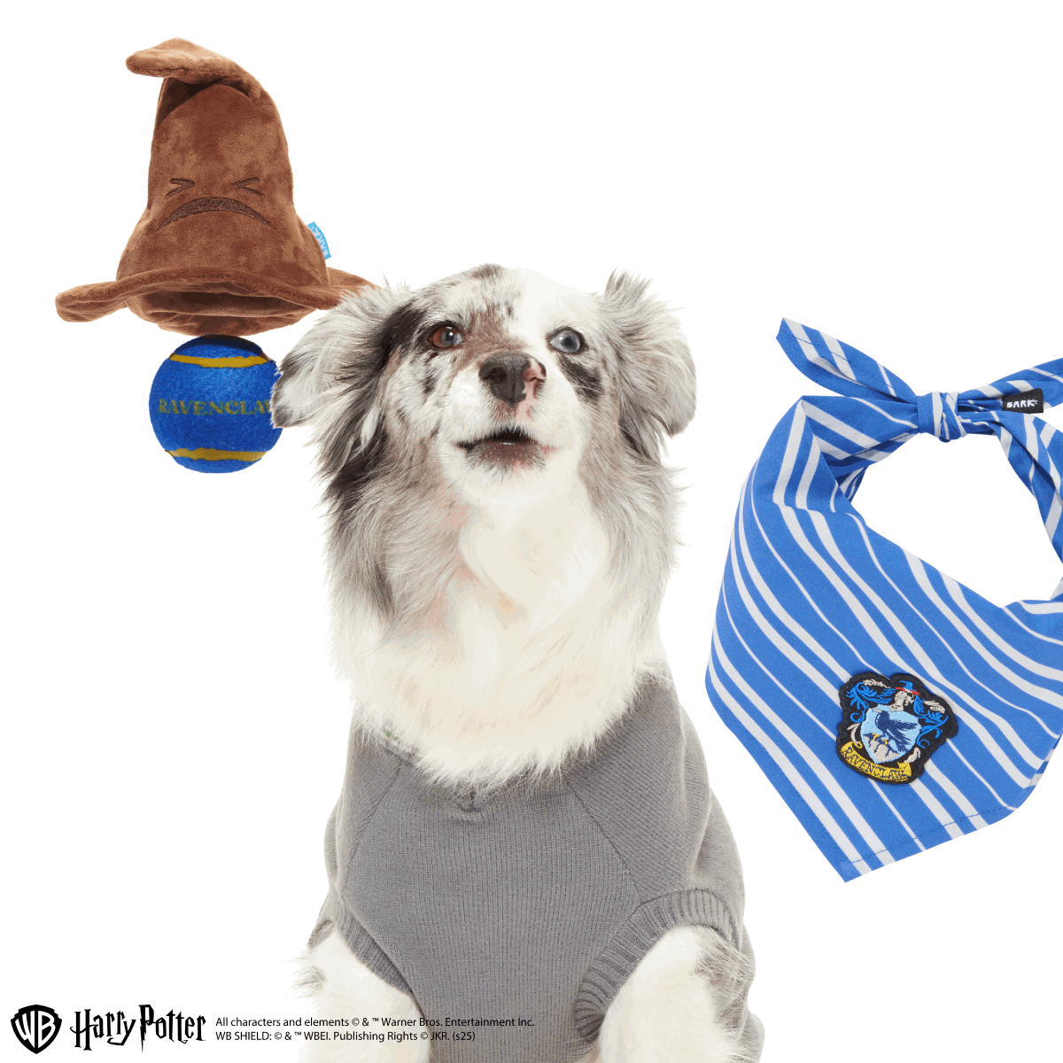 Ravenclaw™ Bundle