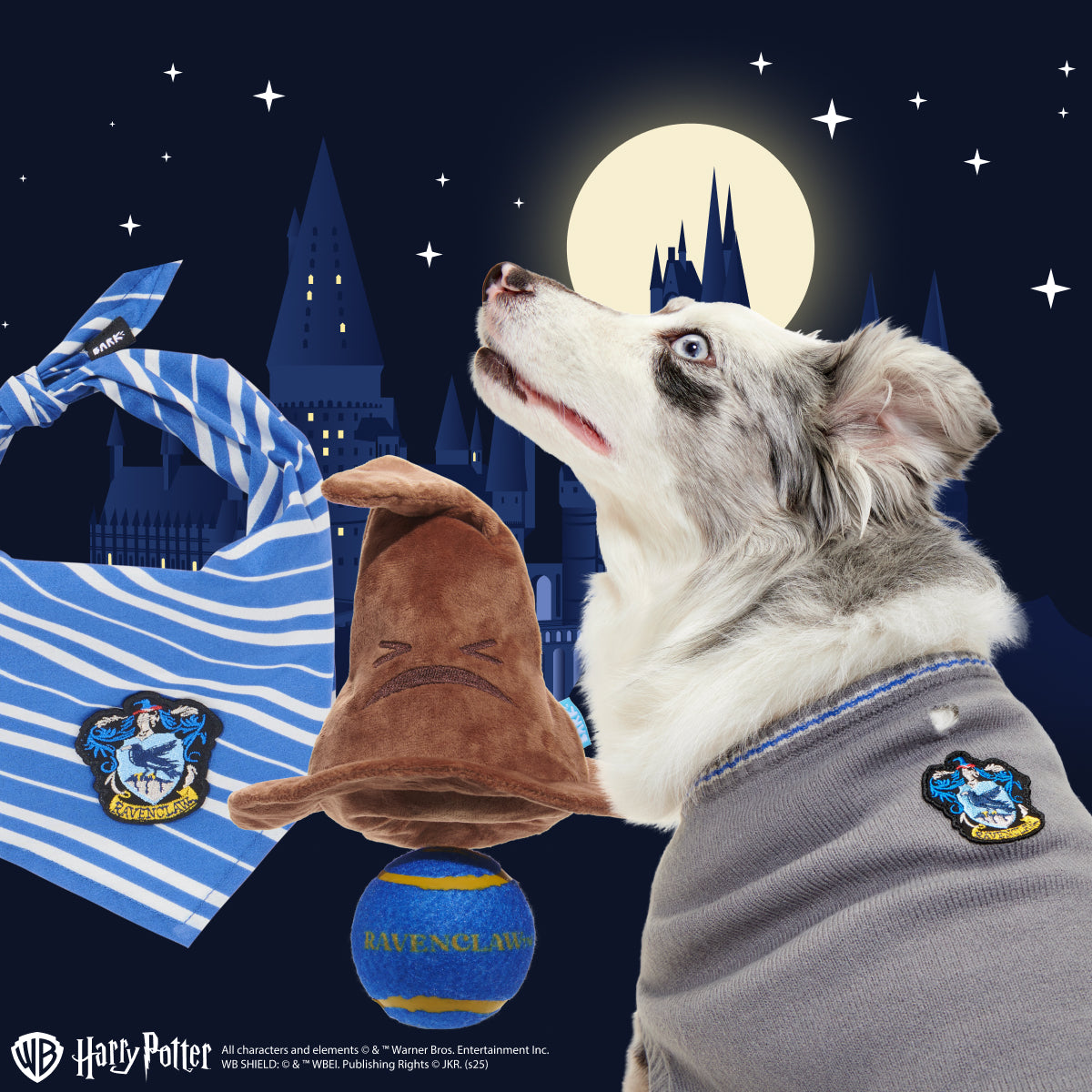 Ravenclaw™ Bundle