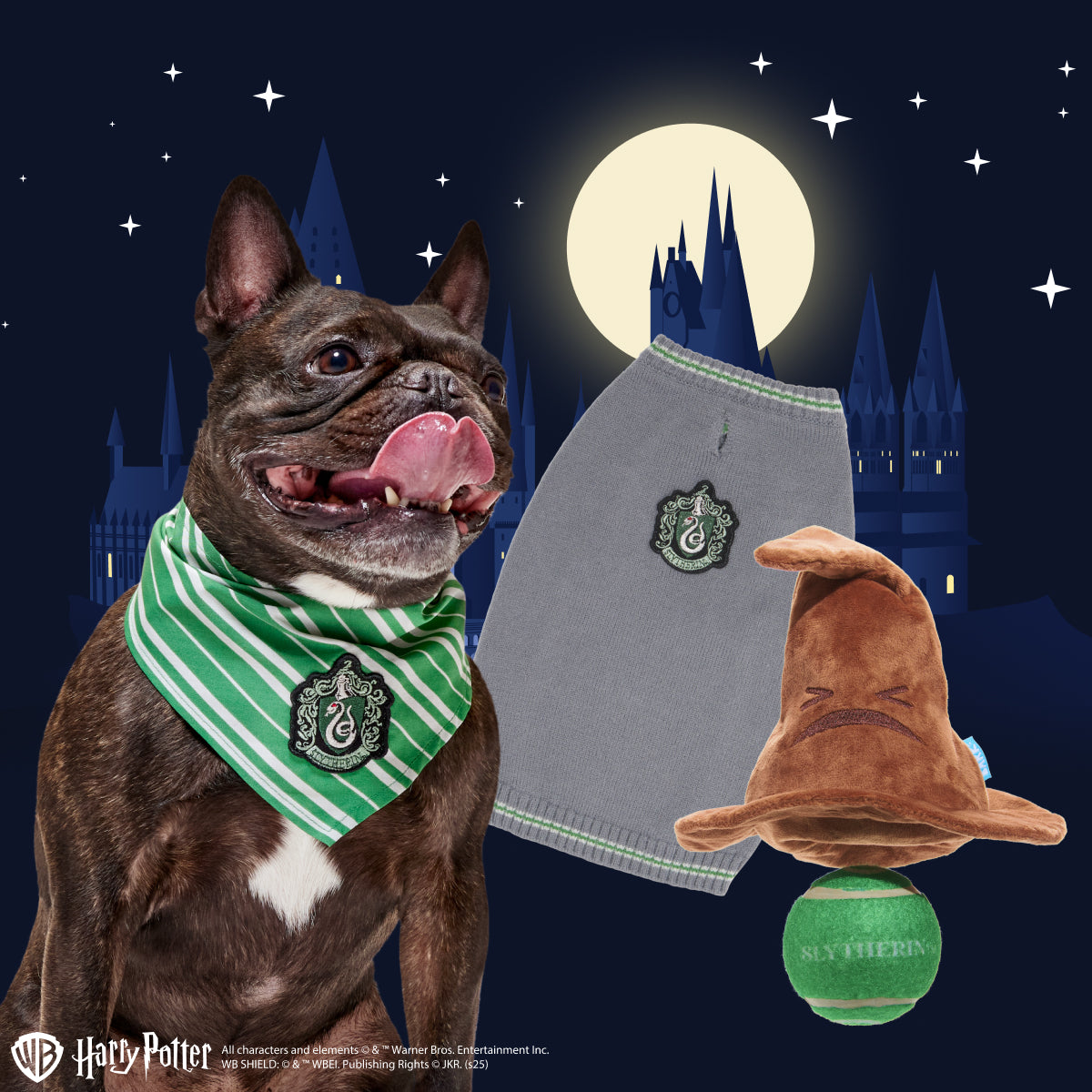 Slytherin™ Bundle