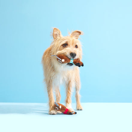 Ruby & Scarlet Multipart Plush Dog Toy