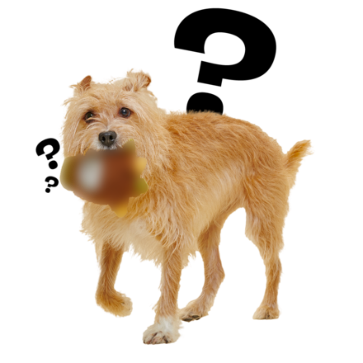 Crubs - Secret Monster Club