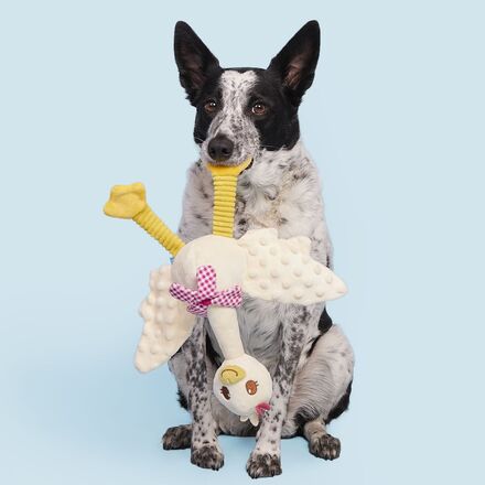 Farmer's Barket Gingham Goose