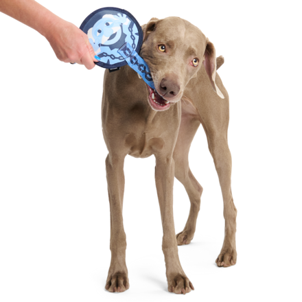 Statler and Waldorf as "Marley & Gnarley" Durable Super Chewer Tug Dog Toy