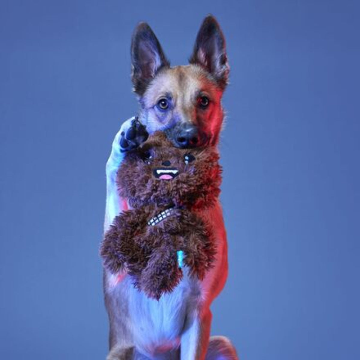 Light Side Star Wars™ Plush Bundle 2-in-1 + Tug Dog Toy