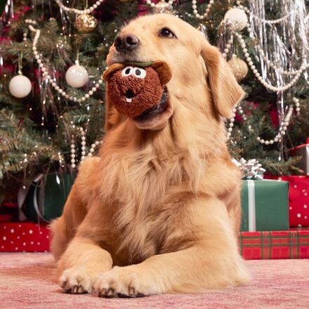 The Muppet Rizzo & Gonzo Super Chewer Bundle