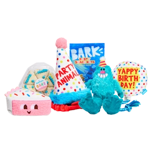 Box of dog treats and snacks labeled 'BARK.'