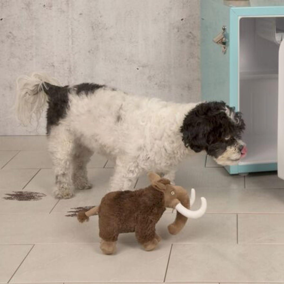 Winston the Wooly Mammoth