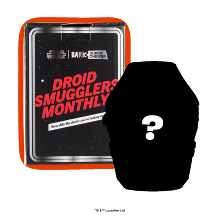 Star Wars™ Droid - IG-11™