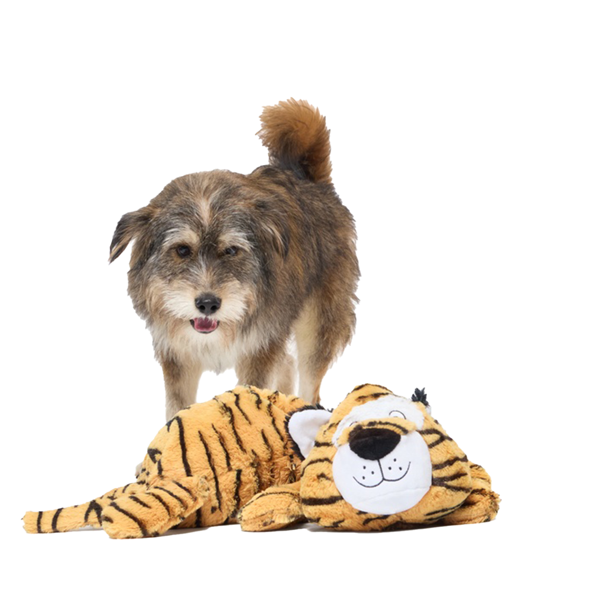TigerDog ピッドブル Benji the Bouncing Tiger