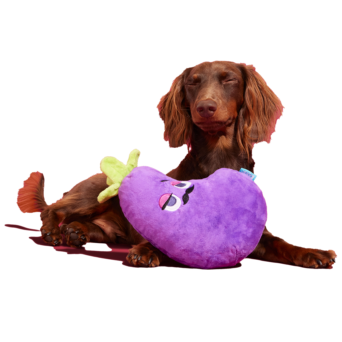 Big Babbo Plush Tug Dog Toy