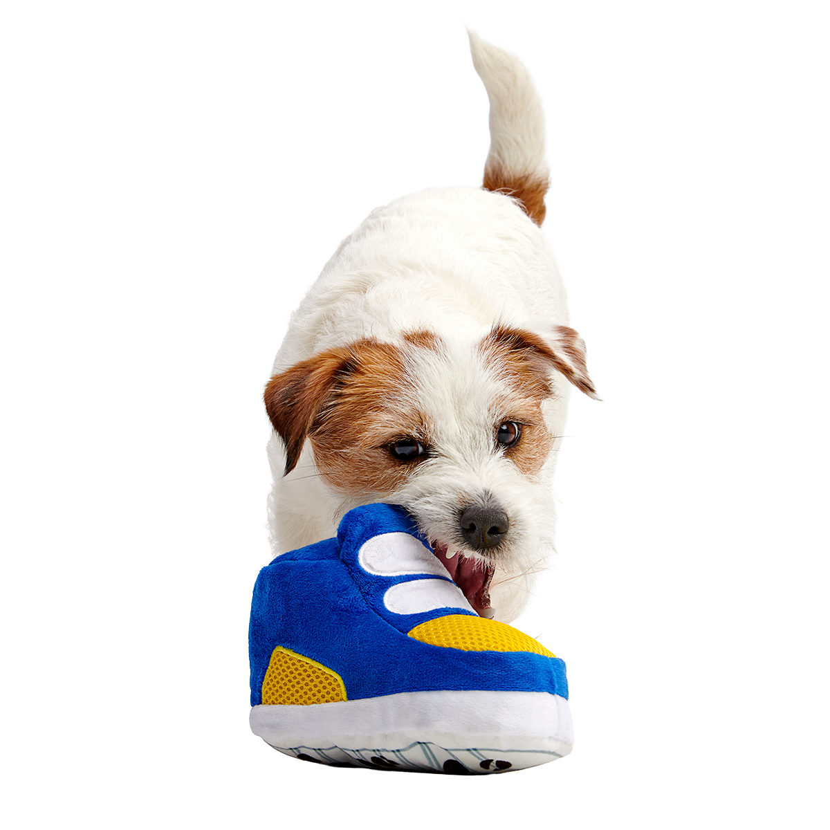 Billy the Kid Plush Extra-Large + 2-in-1 Dog Toy