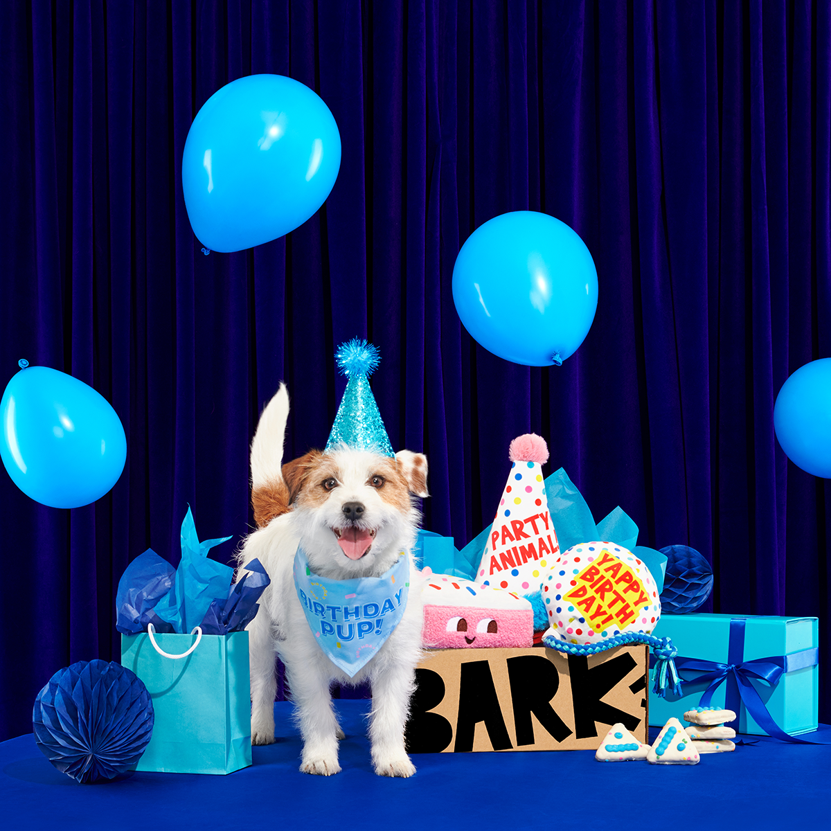 Birthday BarkBox (Toy-Only) - One Month Gift Box
